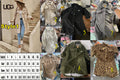 U Sherpa Coat NEW